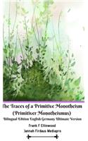 Traces of a Primitive Monotheism (Primitiver Monotheismus) Bilingual Edition English Germany Ultimate Version