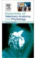 Essentials of Veterinary Anatomy & Physiology