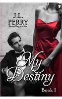 My Destiny