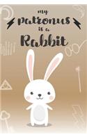My Patronus Is A Rabbit