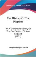 The History Of The Pilgrims: Or A Grandfather's Story Of The First Settlers Of New England (1831)