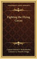 Fighting the Flying Circus