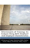 Determinants of Training