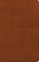 NASB Large Print Thinline Bible, Burnt Sienna Leathertouch