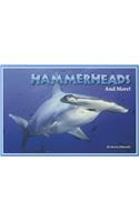 Hammerheads and More!