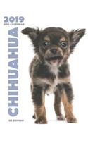 Chihuahua 2019 Dog Calendar (UK Edition)