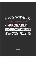 A Day Without Auto Customization Probably Wouldn't Kill Me But Why Risk It Notebook: NoteBook / Journla Auto Customization Gift, 120 Pages, 6x9, Soft Cover, Matte Finish