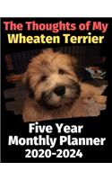 The Thoughts of My Wheaten Terrier