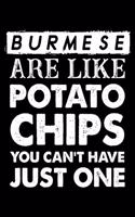 Burmese Are Like Potato Chips You Can't Have Just One