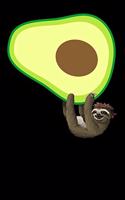 Sloth Hanging On Avocado
