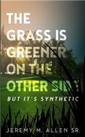 Grass is Greener on the Other Side, But it's Synthetic!