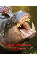 Pygmy Hippopotamus Sketchbook: (Sketchbook for Teens)