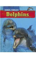 Dolphins: (Animal Families)