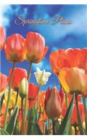Springtime Plans