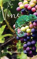 Vine