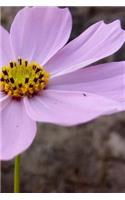 Flora Notebook: 150 lined pages, glossy softcover, 6 x 9
