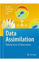 Data Assimilation