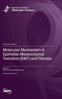 Molecular Mechanism in Epithelial-Mesenchymal Transition (EMT) and Fibrosis