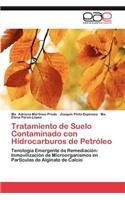 Tratamiento de Suelo Contaminado con Hidrocarburos de Petróleo