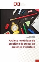 Analyse numérique de problème de stokes en présence d'interface
