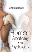 Human anatomy & Physiology