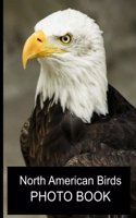 North American Birds Photo Book