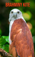 Brahminy kite: Amazing Photos & Fun Facts Book About Brahminy kite For Kids