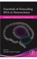 Essentials of Noncoding RNA in Neuroscience