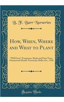 How, When, Where and What to Plant: Will Grow Evergreens, Shade and Fruit Trees, Ornamental Shrubs, Perennials, Bulbs, Etc., 1926 (Classic Reprint)