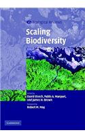 Scaling Biodiversity