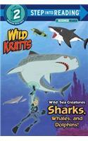 Wild Sea Creatures: Sharks, Whales and Dolphins!