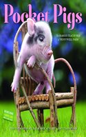 2017 Pocket Pigs Wall Calendar