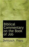 Biblical Commentary on the Book of Job: (English)