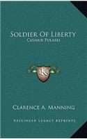 Soldier Of Liberty