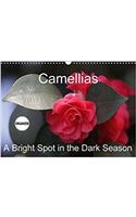 Camellias A Bright Spot in the Dark Season 2018: Extraordinary Flowers in Winter(Calvendo Nature)