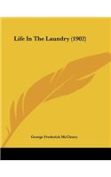 Life In The Laundry (1902)