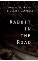 Rabbit in the Road