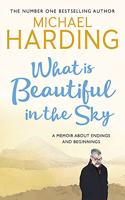 What is Beautiful in the Sky