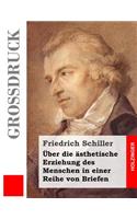 Über die ästhetische Erziehung des Menschen in einer Reihe von Briefen (Großdruck)
