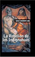 rebelion de los indignahuas