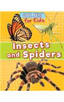 Insects and Spiders