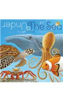 Under the Sea