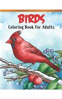 Birds Coloring Book For Adults