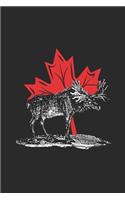 Moose With Maple Leaf