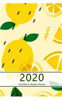2020 Monthly & Weekly Planner