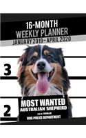 2019-2020 Weekly Planner - Most Wanted Australian Shepherd (Aussie): Daily Diary Monthly Yearly Calendar Large 8.5" x 11" Schedule Journal Organizer Notebook Appointment(6 Dog Planners 2019-2020)