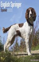 English Springer Spaniel Calendar 2020