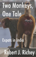 Two Monkeys, One Tale: Expats in India