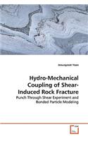Hydro-Mechanical Coupling of Shear-Induced Rock Fracture