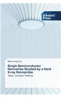 Single Semiconductor Nanowires Studied by a Hard X-ray Nanoprobe